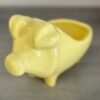 Amarelo Bebe